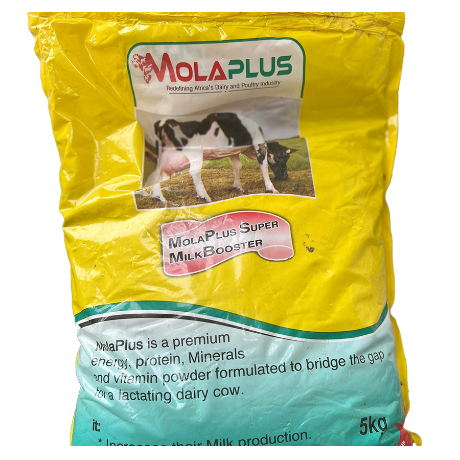 molaplus super milk booster