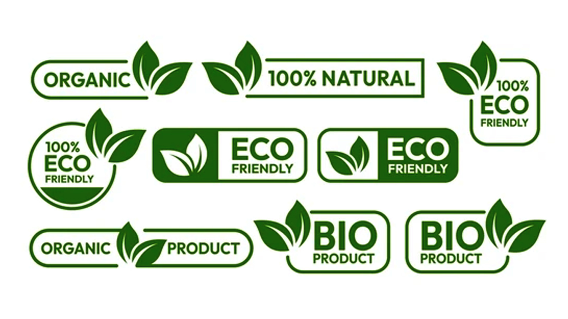 eco-friendly picture