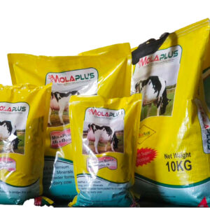 livestock microbes new
