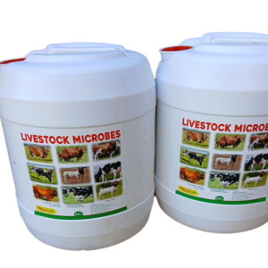 livestock microbes 20ltr