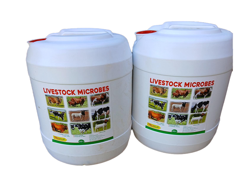 livestock microbes 20ltr livestock microbes 20ltr