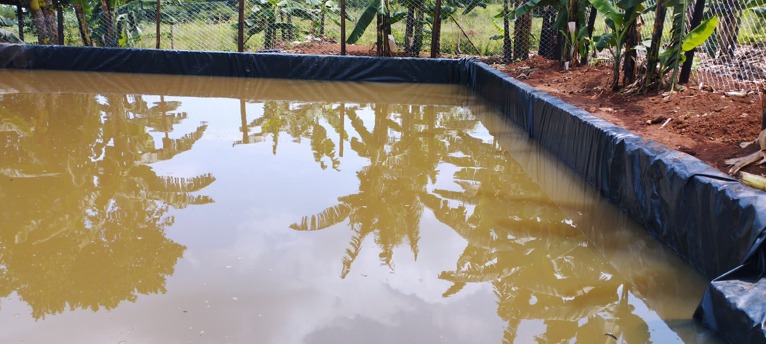 Aquaculture and Piggery